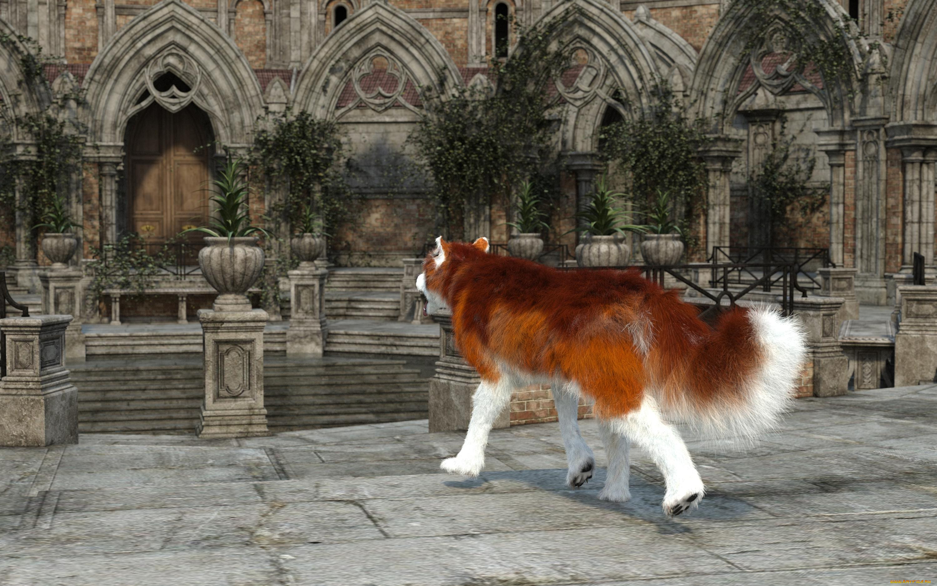 3 ,  , animals, , , 